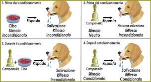 Condizionamento Classico: Definizione Esperimento di Pavlov